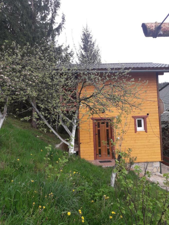 Смериковий Γιαρέμτσε Εξωτερικό φωτογραφία
